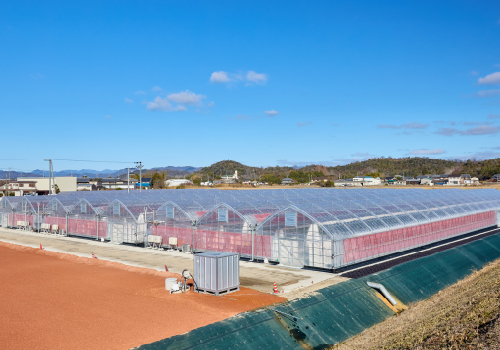 加西観光農園かじゅかふぁーむ外観